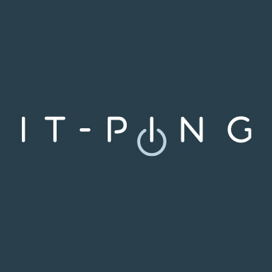 Компания IT-Ping